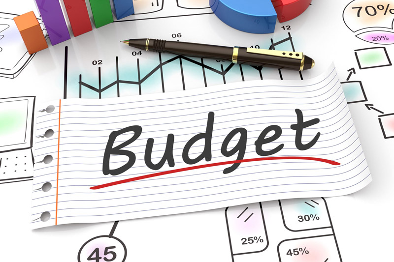 Budget Text