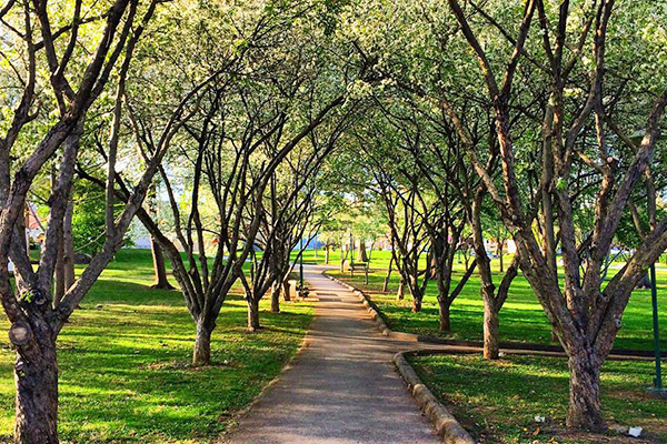 Mary Wood Park Typical