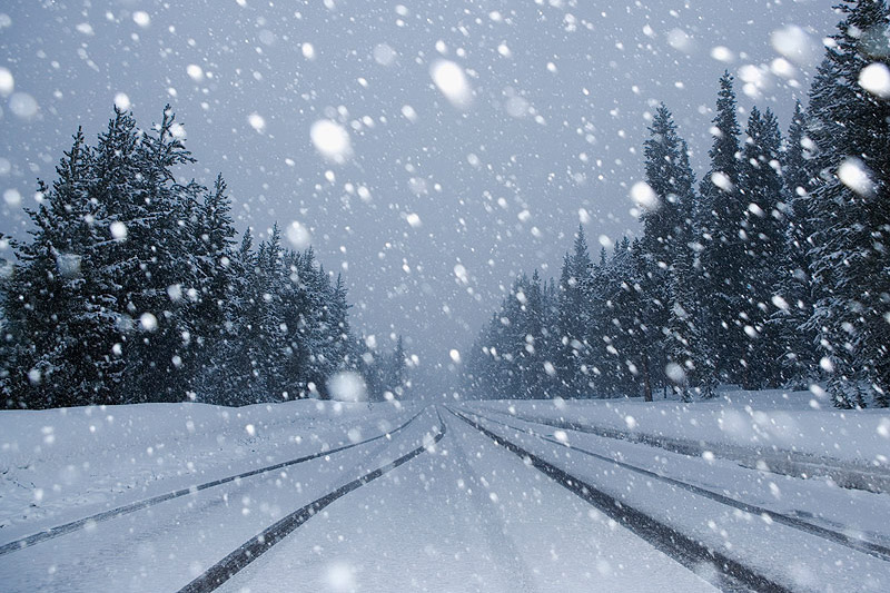 Snow Emergency No Text