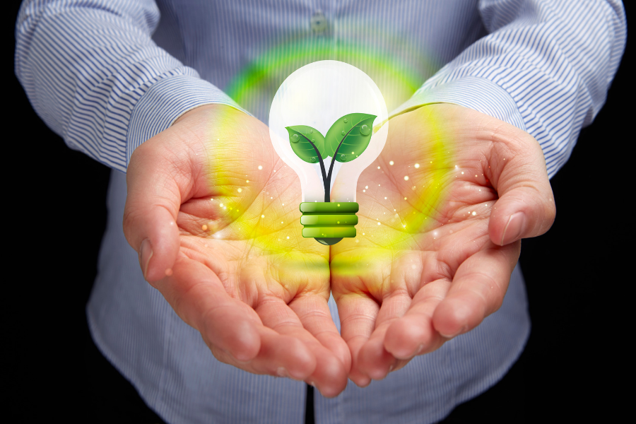 EAC Light Bulb w/Plant