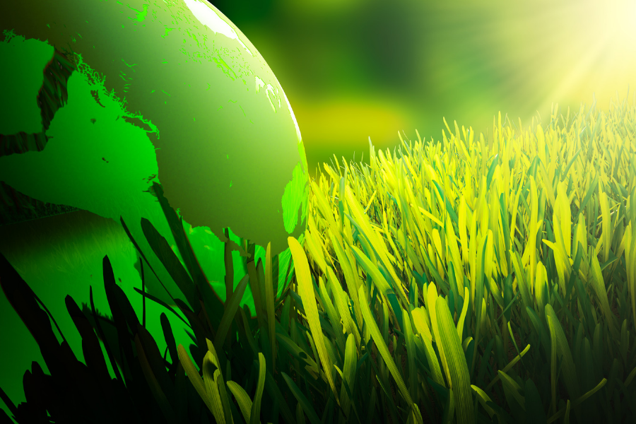 EAC Green Earth & Grass