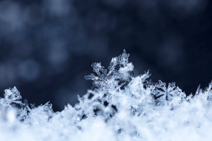Snow Close Up