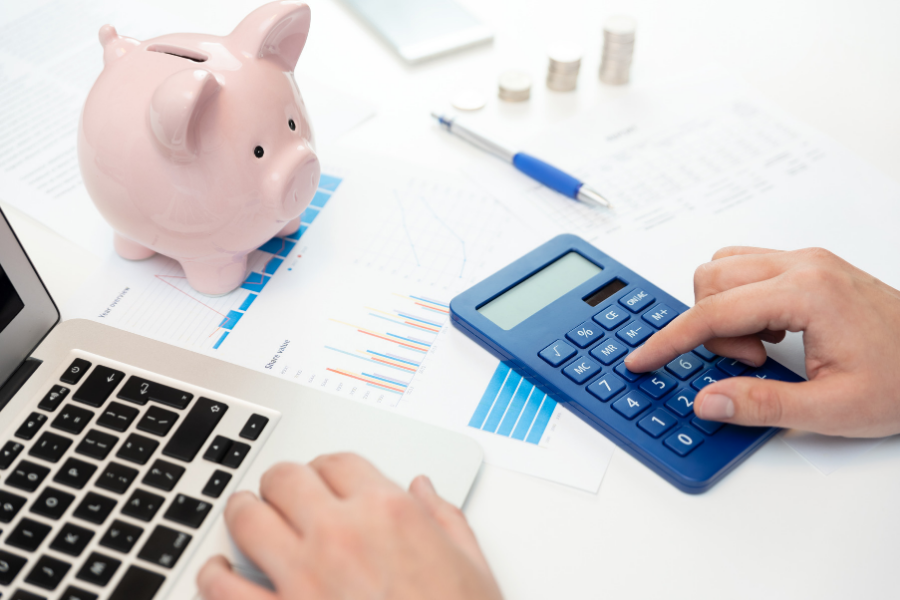 Budget w/Piggy Bank
