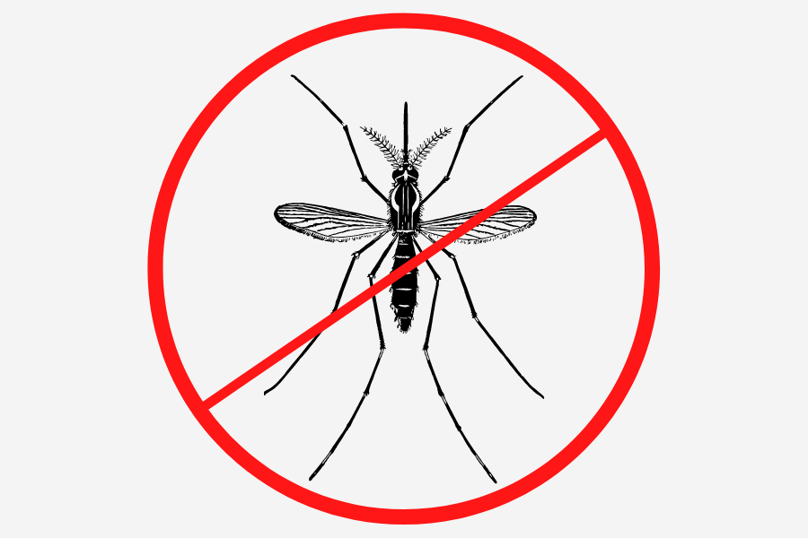 Mosquito Spraying