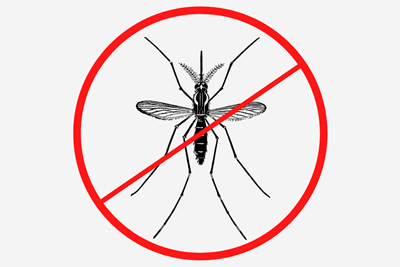 Mosquito Spraying in Borough Parks September 19, 2023