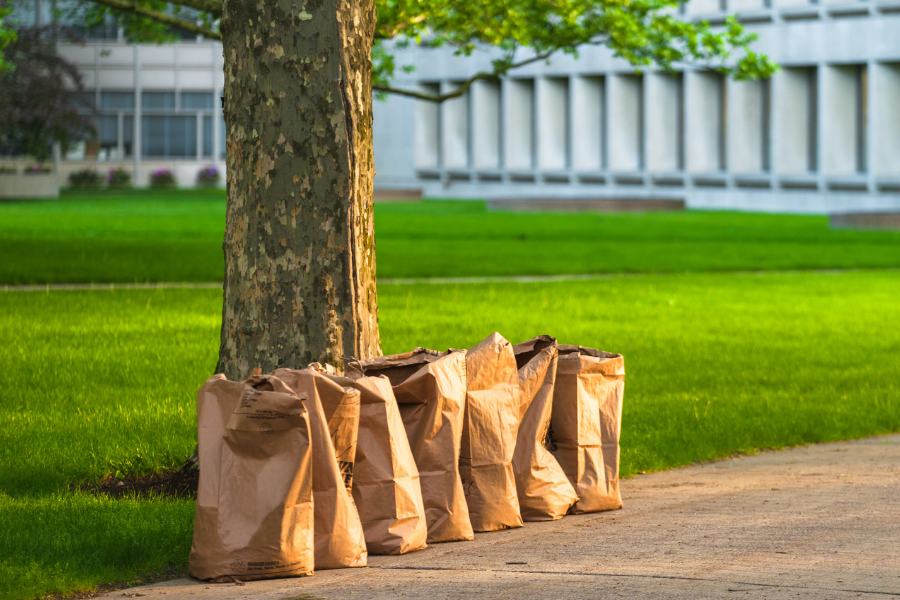 Yard Waste Bags